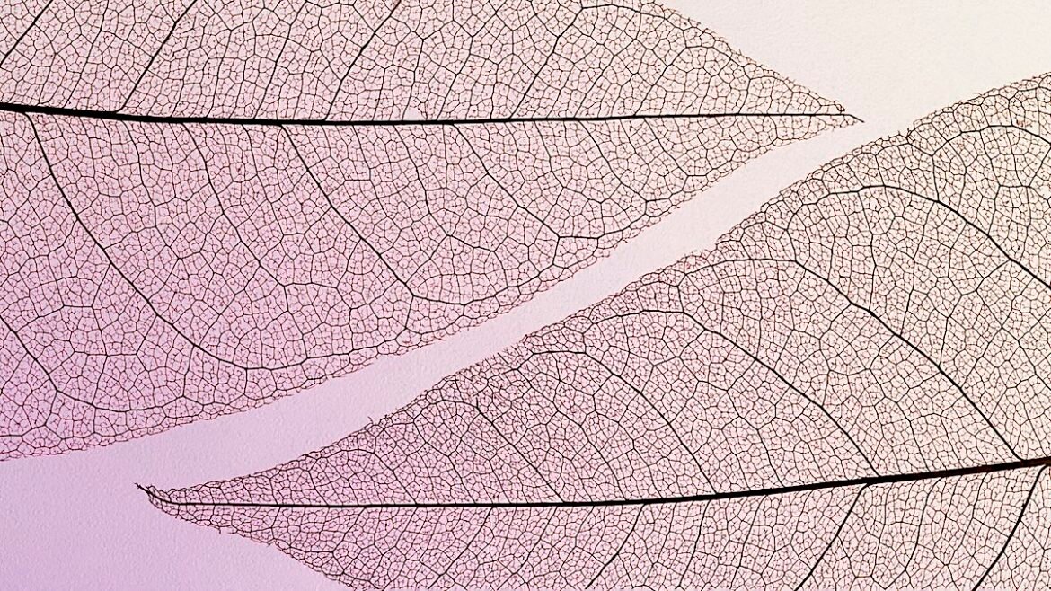 Что такое осознанность?