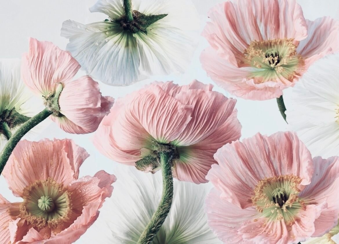 Аффирмации благодарности -как развить благодарность